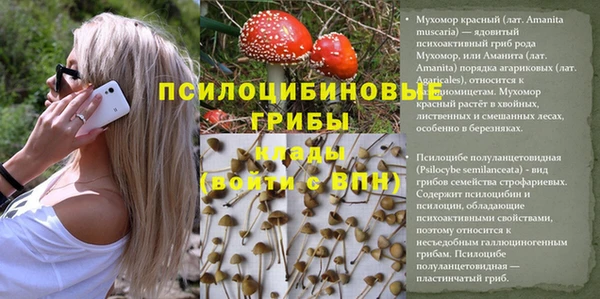 твердый Аркадак