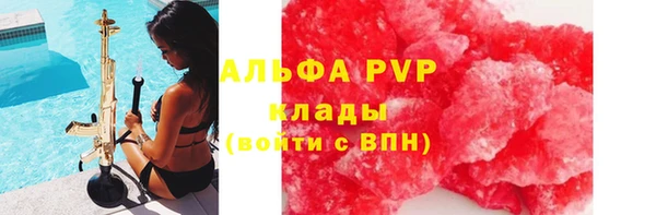 твердый Аркадак