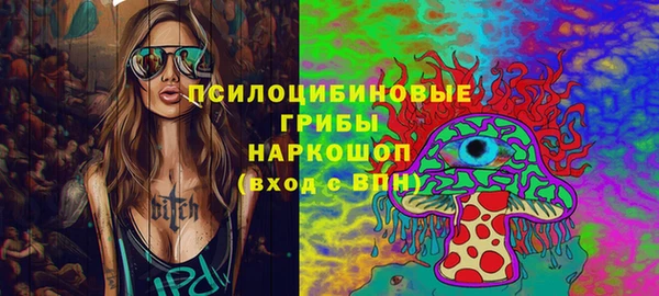 твердый Аркадак