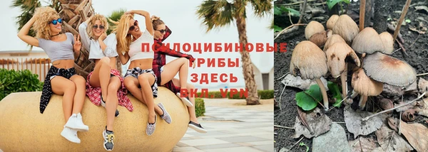 твердый Аркадак