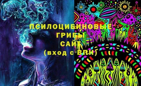 сатива Армянск