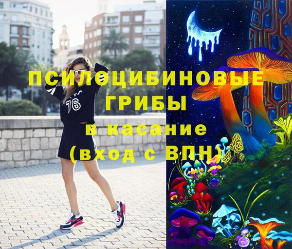 сатива Армянск