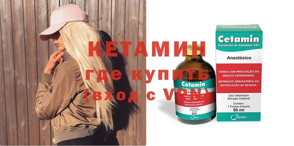 шишки Абаза