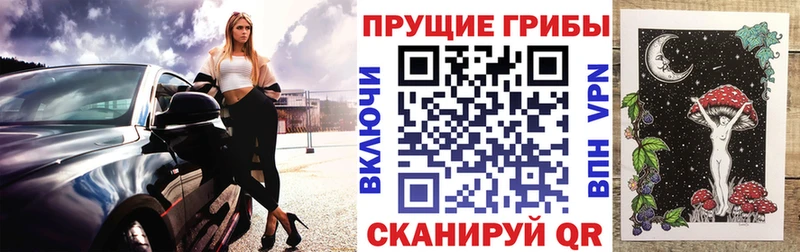 Псилоцибиновые грибы ЛСД  Хадыженск 